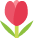 Red Flower Icon